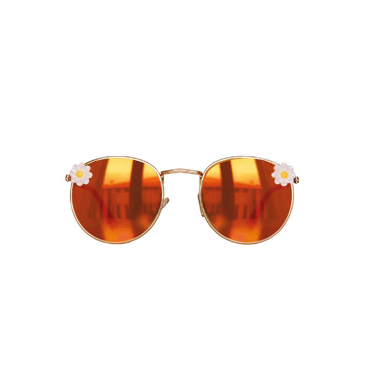 Dolce gabbana hot sale round daisy sunglasses